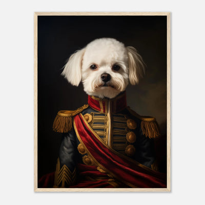 Custom Admiral Portrait